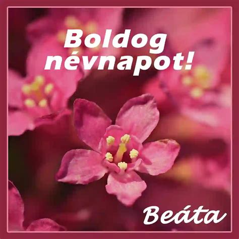 beata nevnap|Beáta névnap 2024 